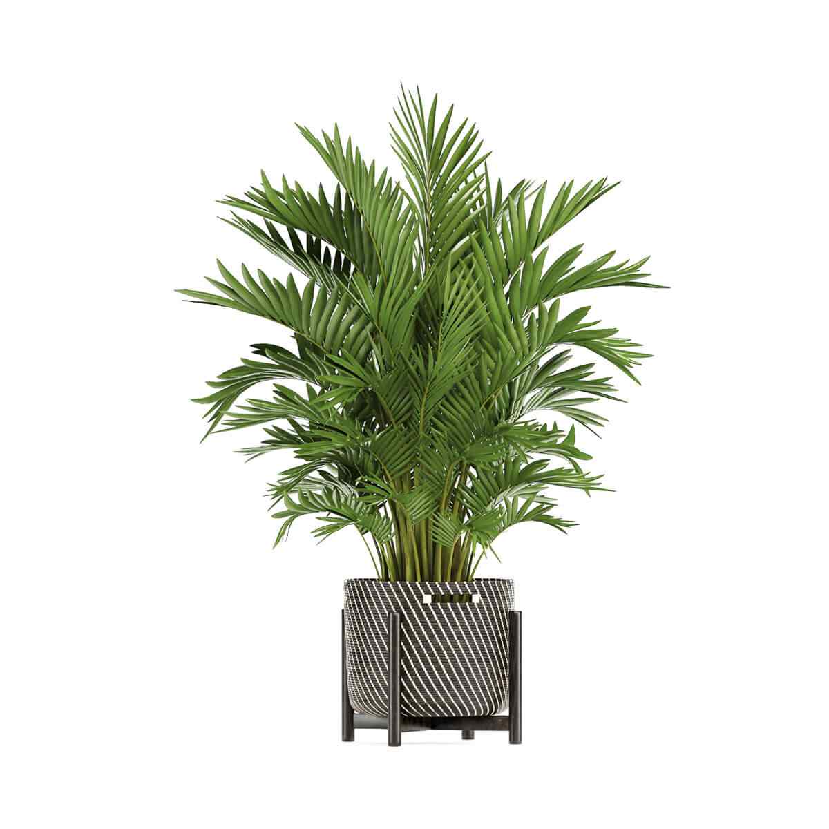 product_02