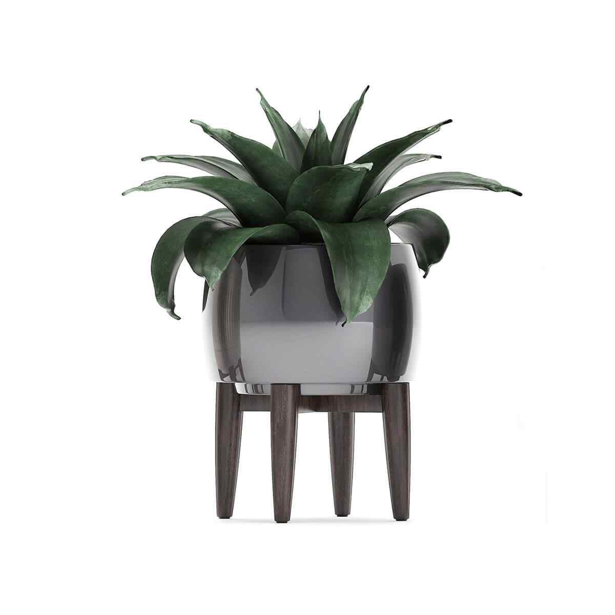 product_11