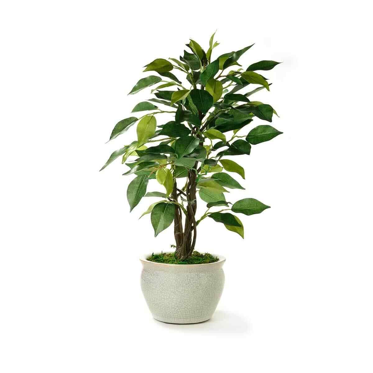 product_13