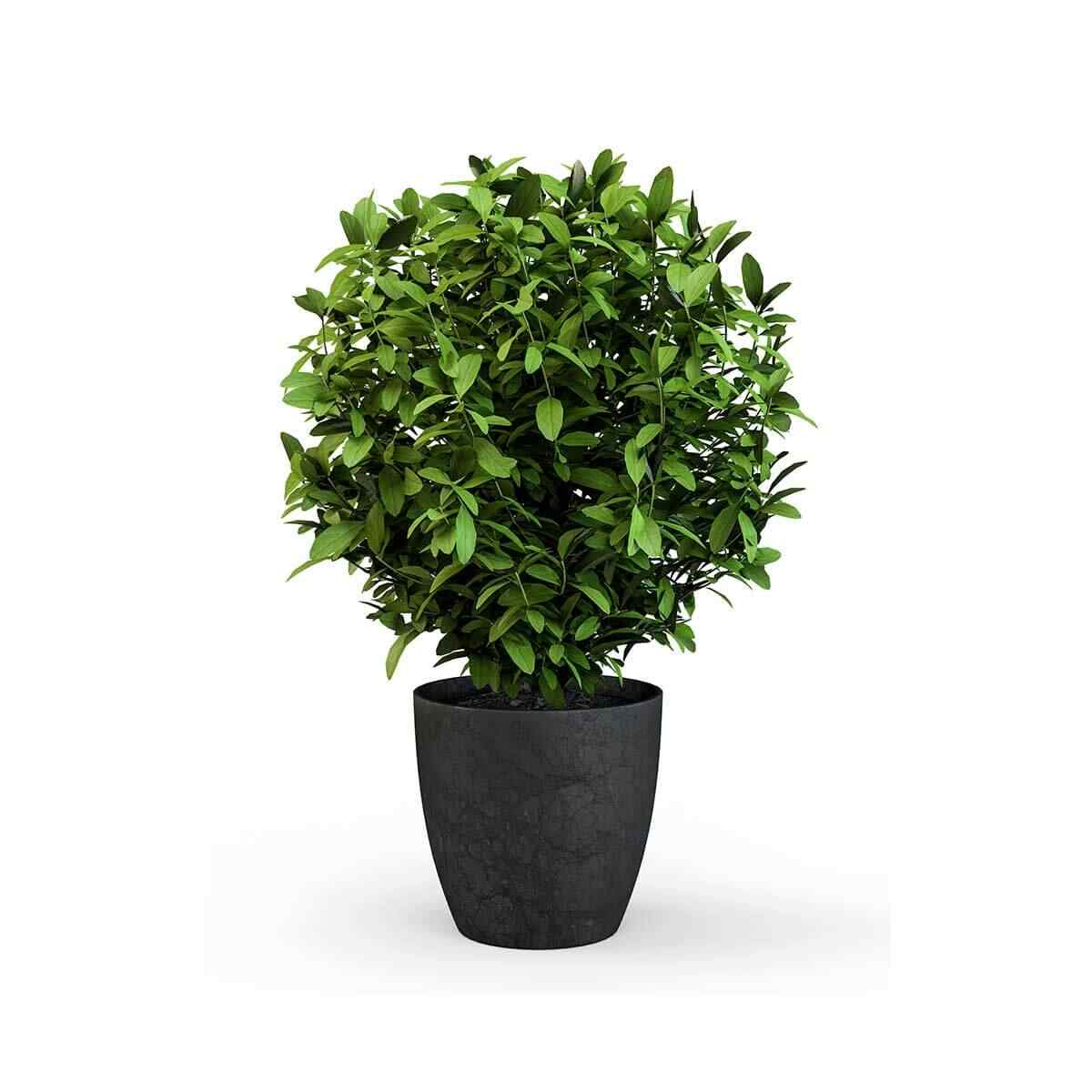 product_14