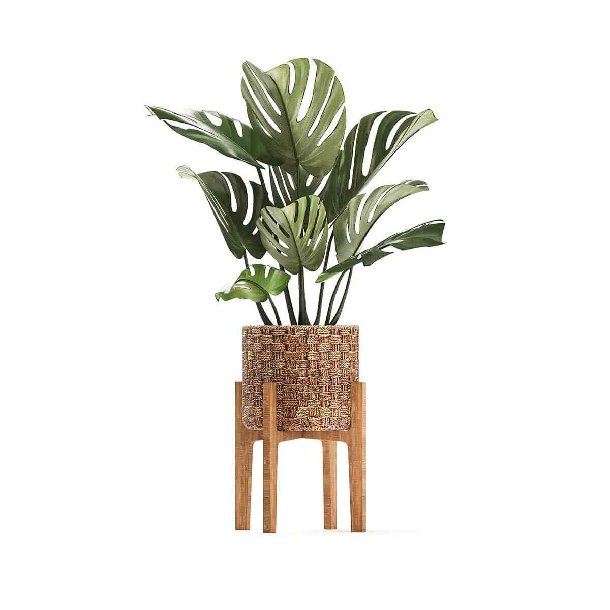 product_15